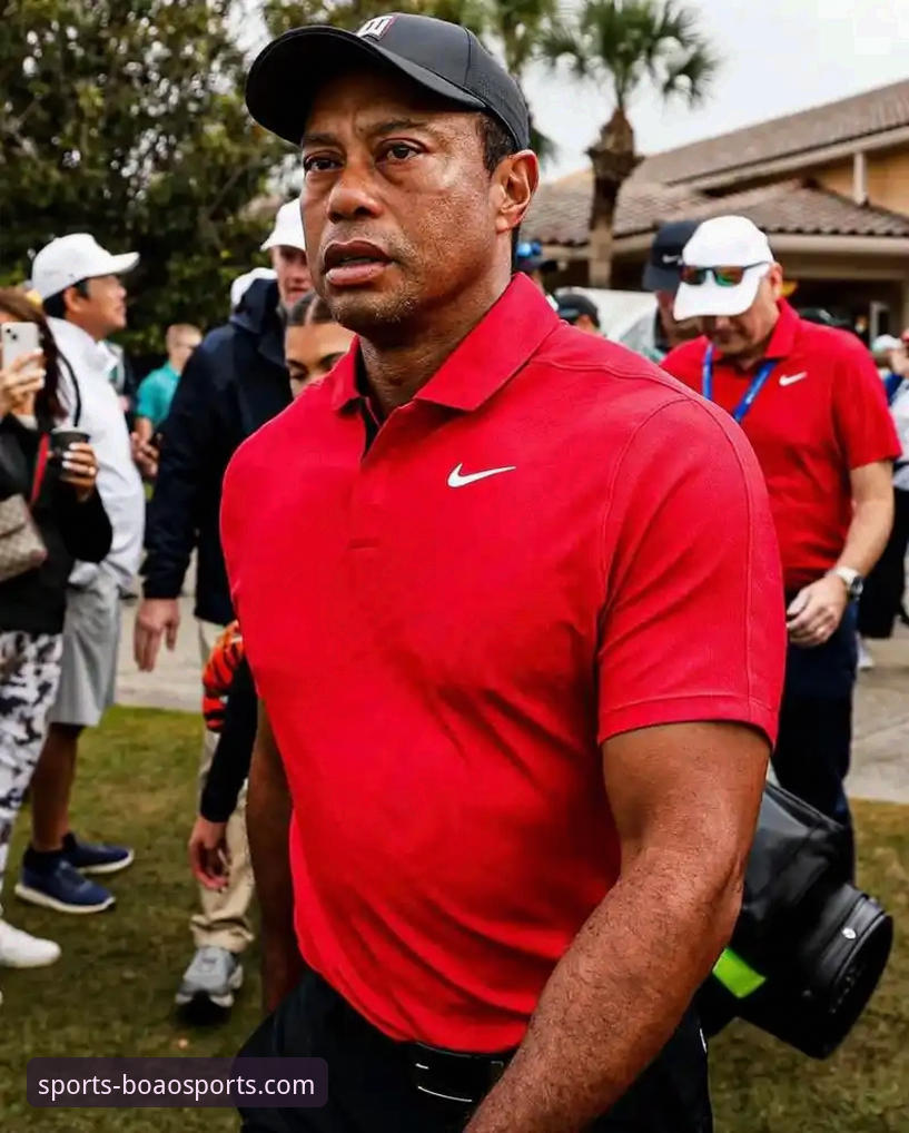 伍兹退役vs药驾争议：高尔夫传奇的职业生涯与法律危机全面对比